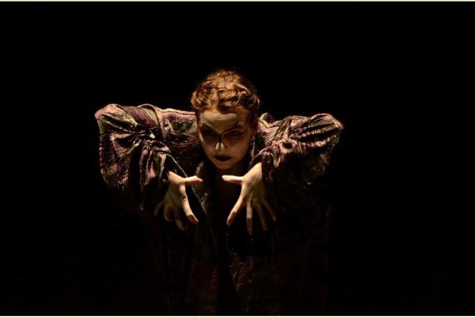 Unser Zauberer Rotbart, aus dem 2. Akt Schwanensee